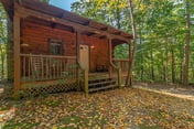 Cabin #8 - The Shadows