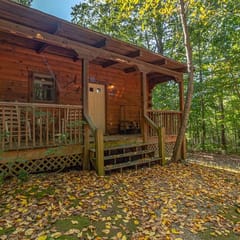 Cabin #8 - The Shadows