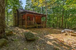 Cabin #8 - The Shadows