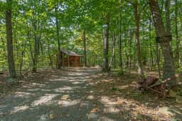 Cabin #8 - The Shadows