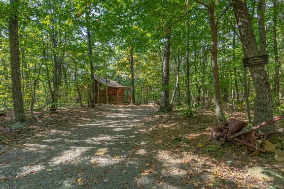 Cabin #8 - The Shadows