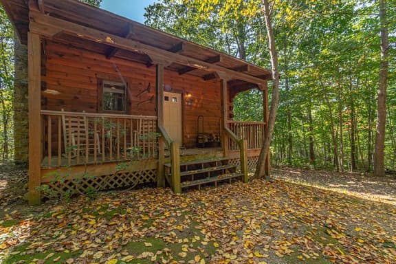 Cabin #8 - The Shadows